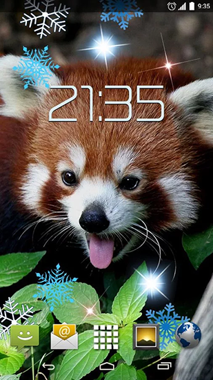 Kostenlos Live Wallpaper Roter Panda für Android Smartphones und Tablets downloaden.