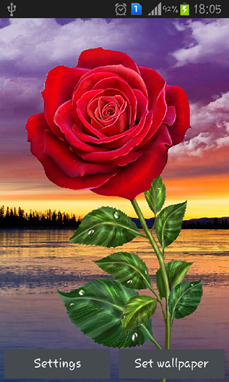 Download Blumen Live Wallpaper Rose: Magische Berührung für Android kostenlos.