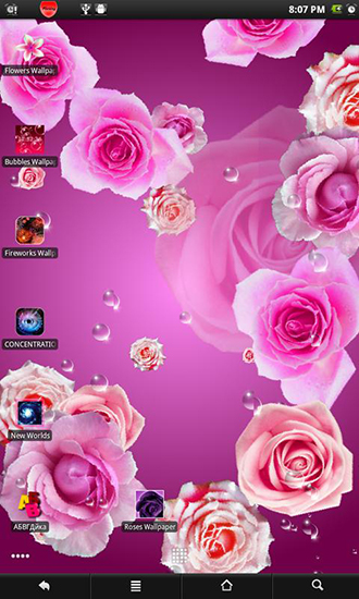 Download Blumen Live Wallpaper Rosen 2 für Android kostenlos.