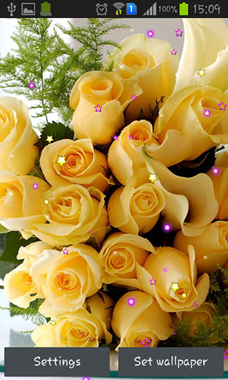 Download Blumen Live Wallpaper Rosen und Liebe für Android kostenlos.