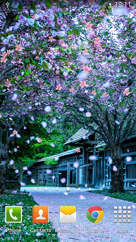 Android Hintergrundbilder Sakura  kostenlos auf den Desktop herunterladen. 