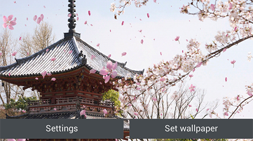 Android Hintergrundbilder Sakura Garten  kostenlos auf den Desktop herunterladen. 