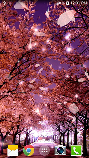 Download Blumen Live Wallpaper Sakura für Android kostenlos.