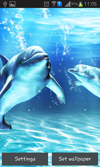 Kostenlos Live Wallpaper Delphin im Meer für Android Smartphones und Tablets downloaden.