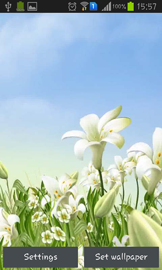 Download Blumen Live Wallpaper Seelilien für Android kostenlos.