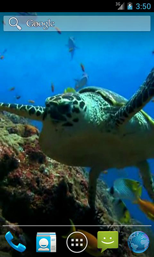 Download Tiere Live Wallpaper Meeresschildkröte für Android kostenlos.