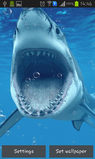 Download Tiere Live Wallpaper Haie für Android kostenlos.