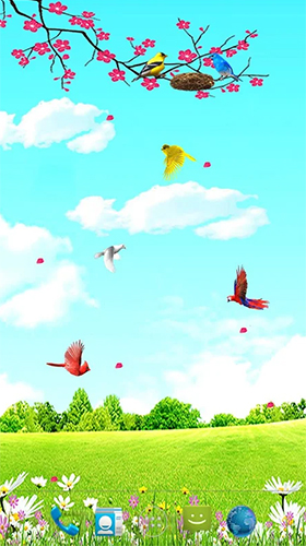 Android Hintergrundbilder Vögel im Himmel  kostenlos auf den Desktop herunterladen. 