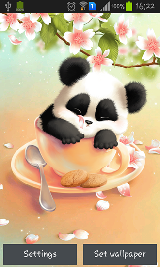Download Live Wallpaper Verschlafener Panda für Android-Handy kostenlos.