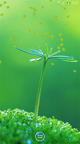 Android Hintergrundbilder Frühlingsgrün  kostenlos auf den Desktop herunterladen. 