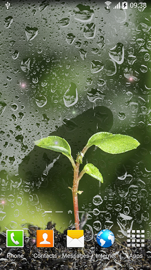 Download Pflanzen Live Wallpaper Frühling für Android kostenlos.