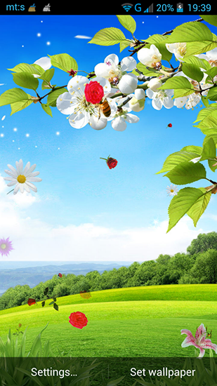 Frühling kostenlos desktop hintergrundbilder Desktop Hintergrund