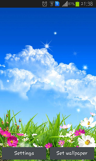 Download Live Wallpaper Frühlingsblume für Android 5.0 kostenlos.
