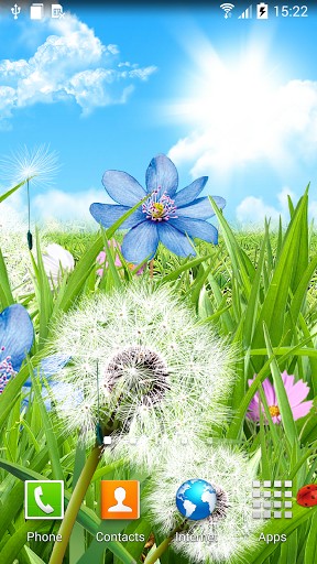 Download Pflanzen Live Wallpaper Sommerblumen für Android kostenlos.