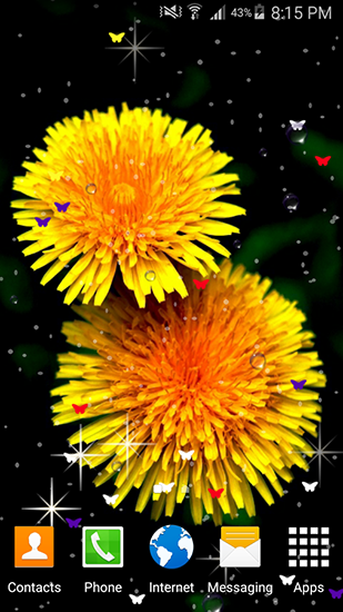 Kostenlos Live Wallpaper Sommerblumen für Android Smartphones und Tablets downloaden.
