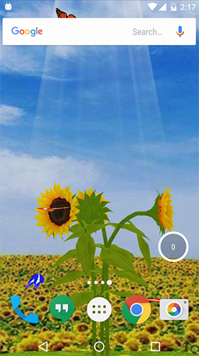 Android Hintergrundbilder Sonnenblume 3D  kostenlos auf den Desktop herunterladen. 