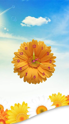 Android Hintergrundbilder Sonnenblumenuhr  kostenlos auf den Desktop herunterladen. 