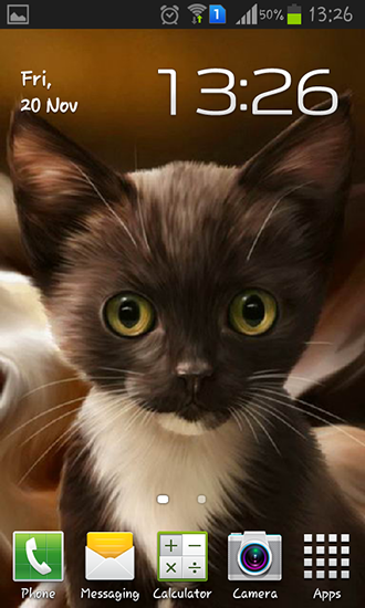 Kostenlos Live Wallpaper Überraschtes Kätzchen für Android Smartphones und Tablets downloaden.