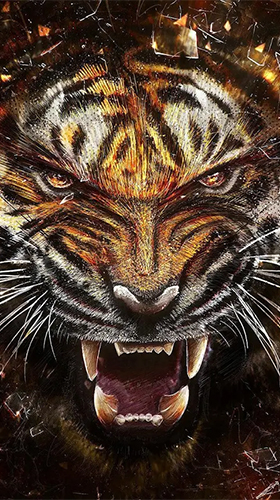 Android Hintergrundbilder Tiger  kostenlos auf den Desktop herunterladen. 