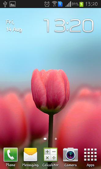 Download Blumen Live Wallpaper Tulpe 3D für Android kostenlos.