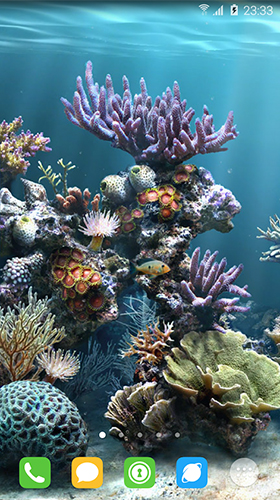 Android Hintergrundbilder Unterwasserwelt  kostenlos auf den Desktop herunterladen. 