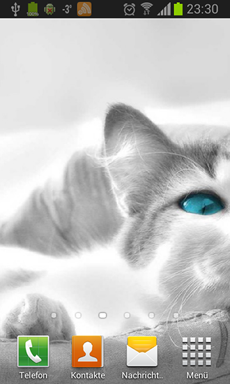 Kostenlos Live Wallpaper Weiße Katzen für Android Smartphones und Tablets downloaden.