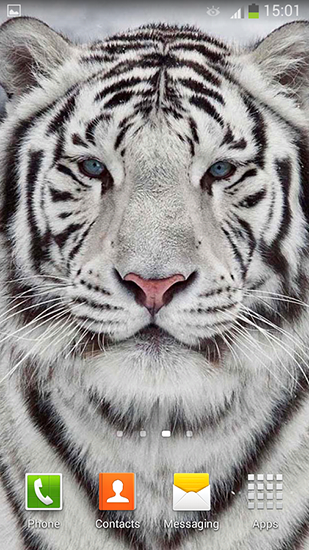Kostenlos Live Wallpaper Weißer Tiger für Android Smartphones und Tablets downloaden.