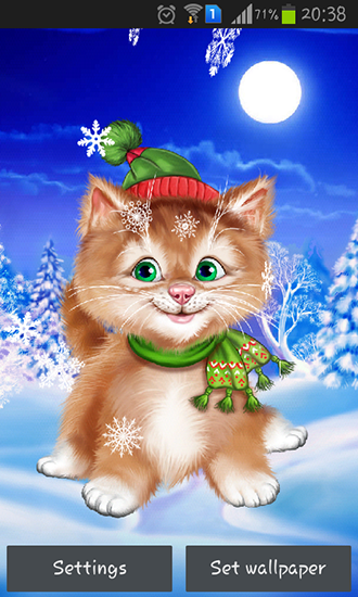 Download Tiere Live Wallpaper Winterkätzchen für Android kostenlos.