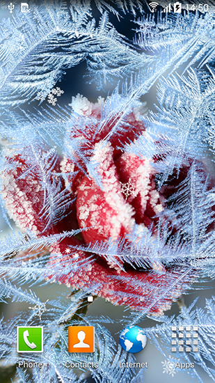Download Interaktiv Live Wallpaper Winterblumen für Android kostenlos.