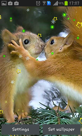 Download Interaktiv Live Wallpaper Wintereichhörnchen für Android kostenlos.