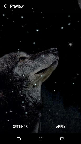 Download Tiere Live Wallpaper Wolf und Mond für Android kostenlos.