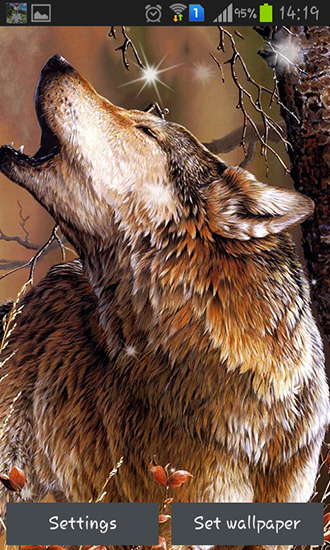 Download Tiere Live Wallpaper Wolf für Android kostenlos.