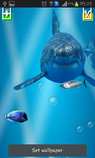 Android Hintergrundbilder Wütender Hai: Zersprungenes Display kostenlos auf den Desktop herunterladen. 