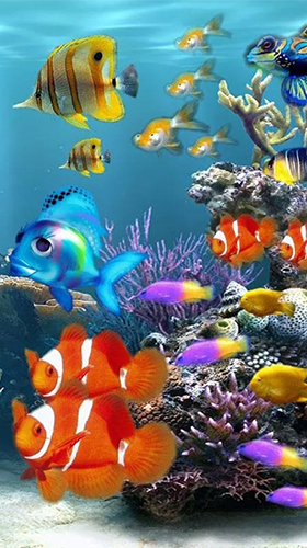 Bildschirm screenshot Aquarium  für Handys und Tablets.