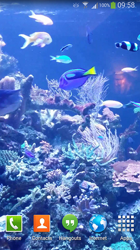 Bildschirm screenshot Aquarium HD 2 für Handys und Tablets.