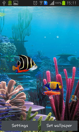 Android Hintergrundbilder Aquarium von Cowboys kostenlos auf den Desktop herunterladen. 