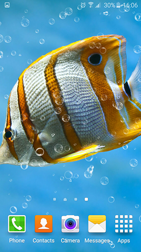 Android Hintergrundbilder Aquarium kostenlos auf den Desktop herunterladen. 