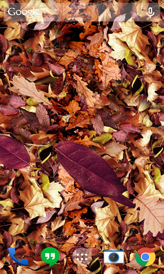 Android Hintergrundbilder Herbstlaub kostenlos auf den Desktop herunterladen. 