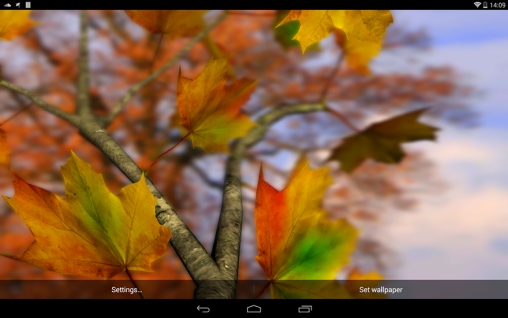 Android Hintergrundbilder Herbstblätter kostenlos auf den Desktop herunterladen. 