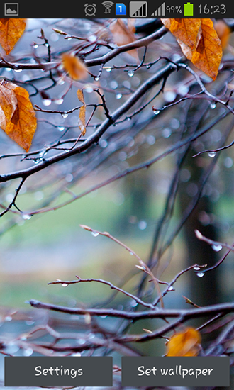 Android Hintergrundbilder Herbstliche Regentropfen kostenlos auf den Desktop herunterladen. 