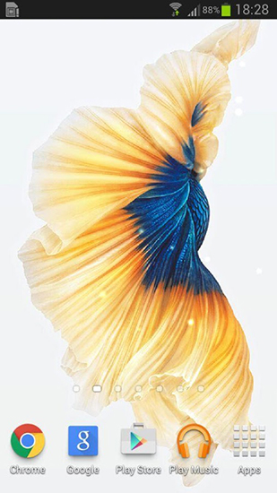 Android Hintergrundbilder Betta Fisch kostenlos auf den Desktop herunterladen. 