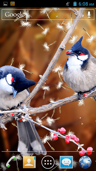 Android Hintergrundbilder Vögel 3D kostenlos auf den Desktop herunterladen. 