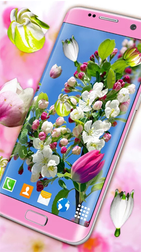 Bildschirm screenshot Blüten  für Handys und Tablets.