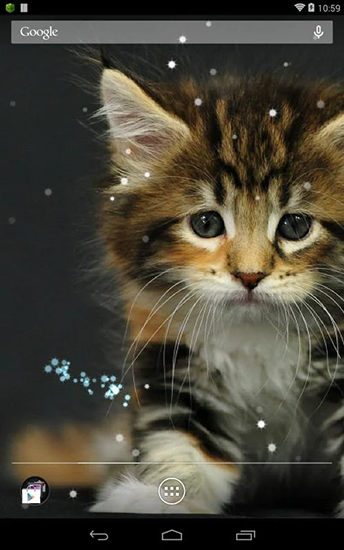 Android Hintergrundbilder Katze kostenlos auf den Desktop herunterladen. 