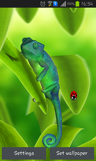 Android Hintergrundbilder Chamäleon 3D kostenlos auf den Desktop herunterladen. 