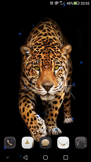 Android Hintergrundbilder Gepard kostenlos auf den Desktop herunterladen. 