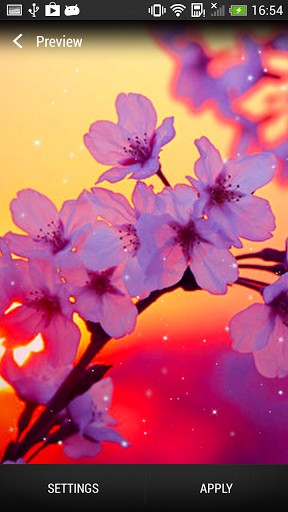 Android Hintergrundbilder Kirschblüten kostenlos auf den Desktop herunterladen. 