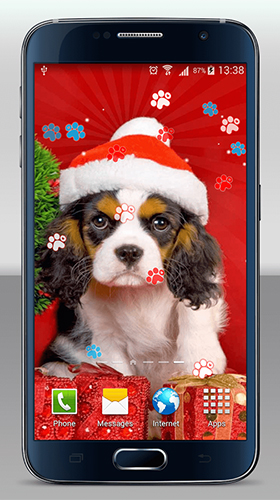 Bildschirm screenshot Weihnachtshunde  für Handys und Tablets.