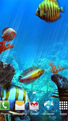Bildschirm screenshot Clownfisch Aquarium 3D  für Handys und Tablets.