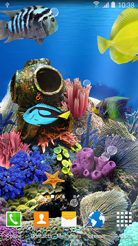Android Hintergrundbilder Korallenfische kostenlos auf den Desktop herunterladen. 